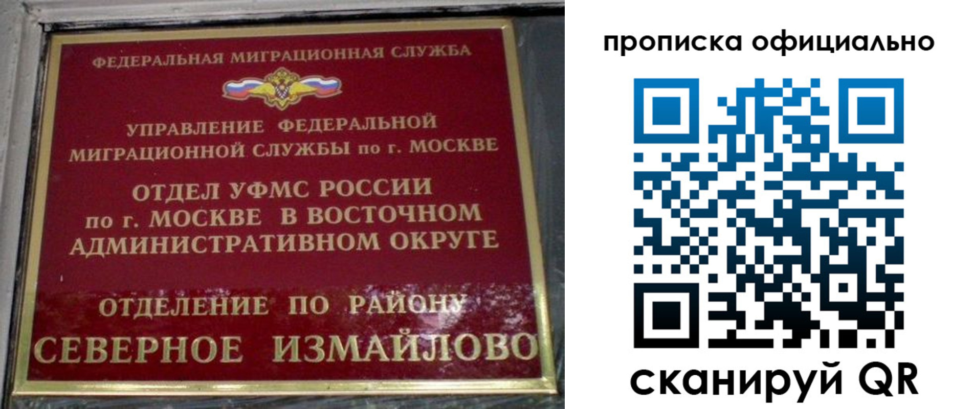 временная регистрация поиск в Шилке